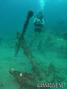 scuba diving photo