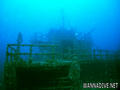 scuba diving photo