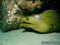 scuba diving photo