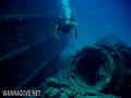 scuba diving photo