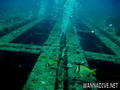 scuba diving photo