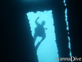 scuba diving photo