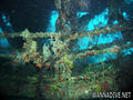 scuba diving photo