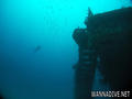 scuba diving photo