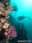 scuba diving photo
