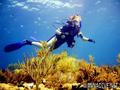 scuba diving photo