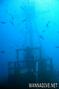 scuba diving photo