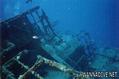 scuba diving photo