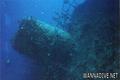 scuba diving photo