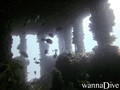 scuba diving photo