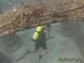 scuba diving photo