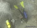 scuba diving photo