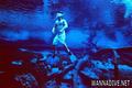 scuba diving photo