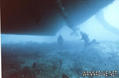 scuba diving photo