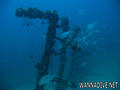 scuba diving photo