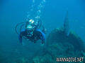 scuba diving photo