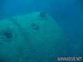 scuba diving photo