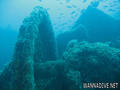 scuba diving photo