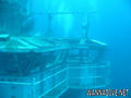 scuba diving photo