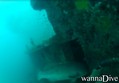scuba diving photo