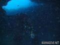 scuba diving photo