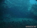 scuba diving photo