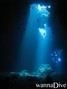 scuba diving photo