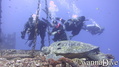 scuba diving photo