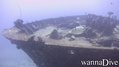 scuba diving photo