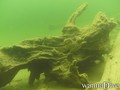 scuba diving photo