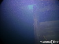 scuba diving photo