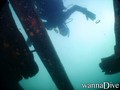 scuba diving photo