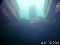 scuba diving photo