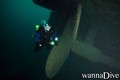 scuba diving photo