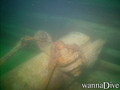 scuba diving photo