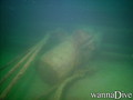 scuba diving photo