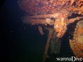 scuba diving photo