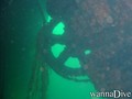 scuba diving photo