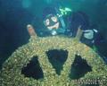 scuba diving photo