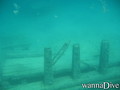 scuba diving photo