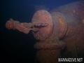 scuba diving photo