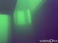 scuba diving photo