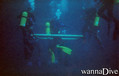 scuba diving photo