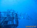 scuba diving photo