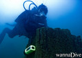 scuba diving photo