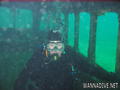 scuba diving photo