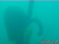scuba diving photo