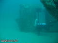 scuba diving photo