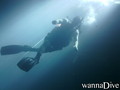 scuba diving photo