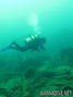 scuba diving photo